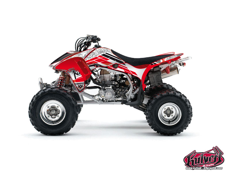 Kit Decorazione Quad Spirit Honda 450 TRX (2006-2007)