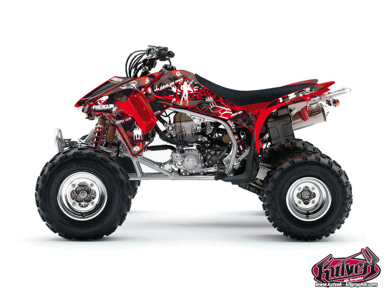 Kit Decorazione Quad Freegun Honda 450 TRX (2006-2007)