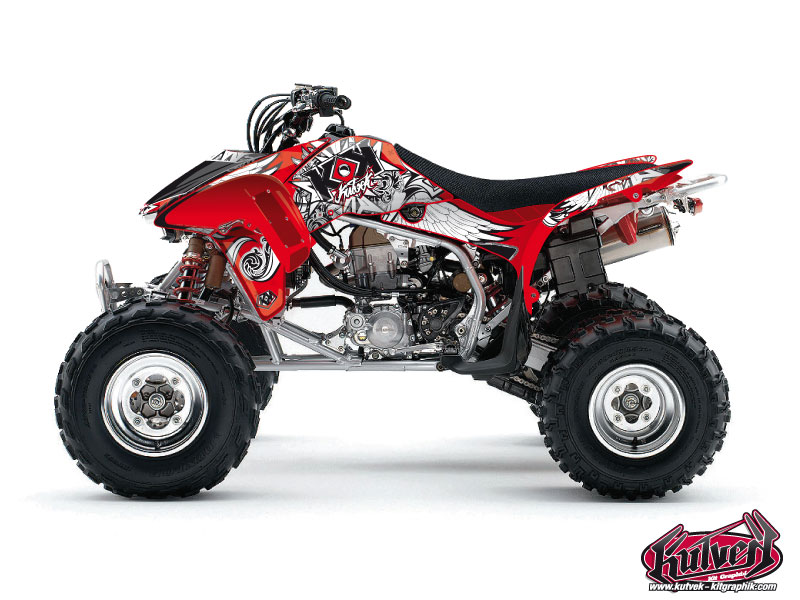 Kit Decorazione Quad Demon Honda 450 TRX (2006-2007)