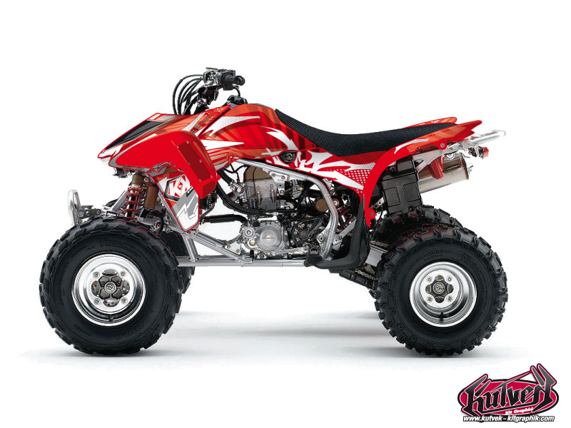 Kit Decorazione Quad Graff Honda 450 TRX (2008-2009)