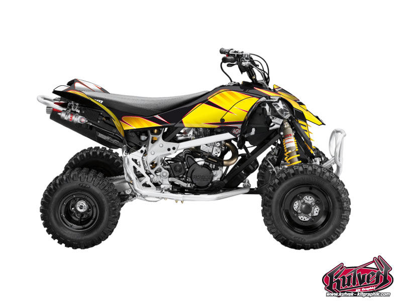 Kit Decorazione Quad Factory Can Am DS 450 (2008-2015)