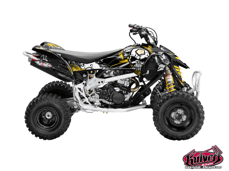 Kit Decorazione Quad Trash Can Am DS 450 Nero Giallo (2008-2015)