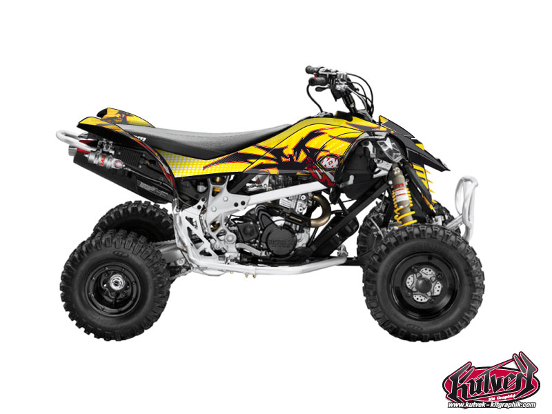 Kit Decorazione Quad Graff Can Am DS 450 (2008-2015)