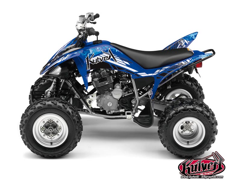 Kit Decorazione Quad Spirit Yamaha 250 Raptor Blu (2008-2014)