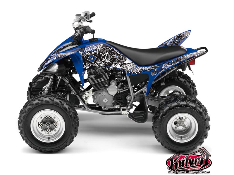 Kit Decorazione Quad Demon Yamaha 250 Raptor Blu (2008-2014)