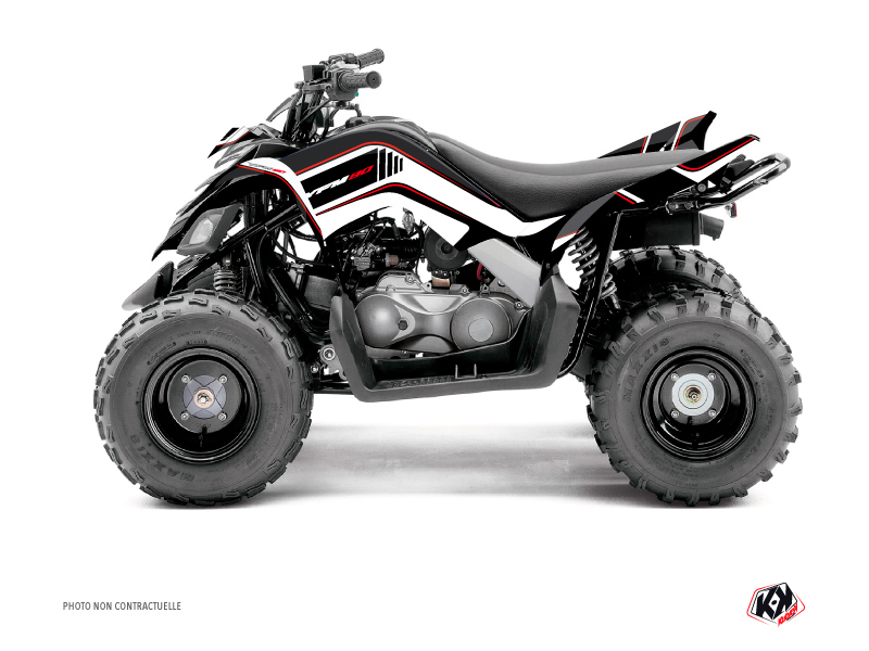 Kit Decorazione Quad Corporate Yamaha 90 Raptor Nero (2009-2023)