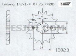Pignone Eton - 420 - 19 denti - Made in Germania