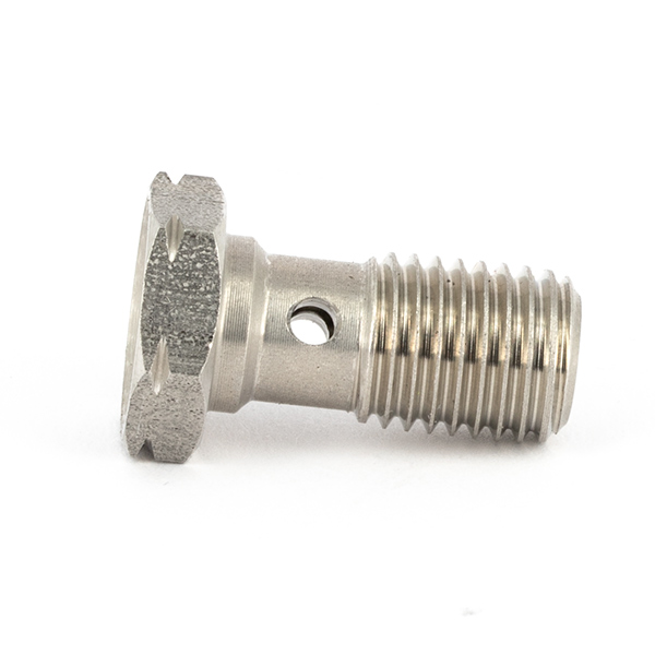 Vite Banjo Singola Inox 10x125