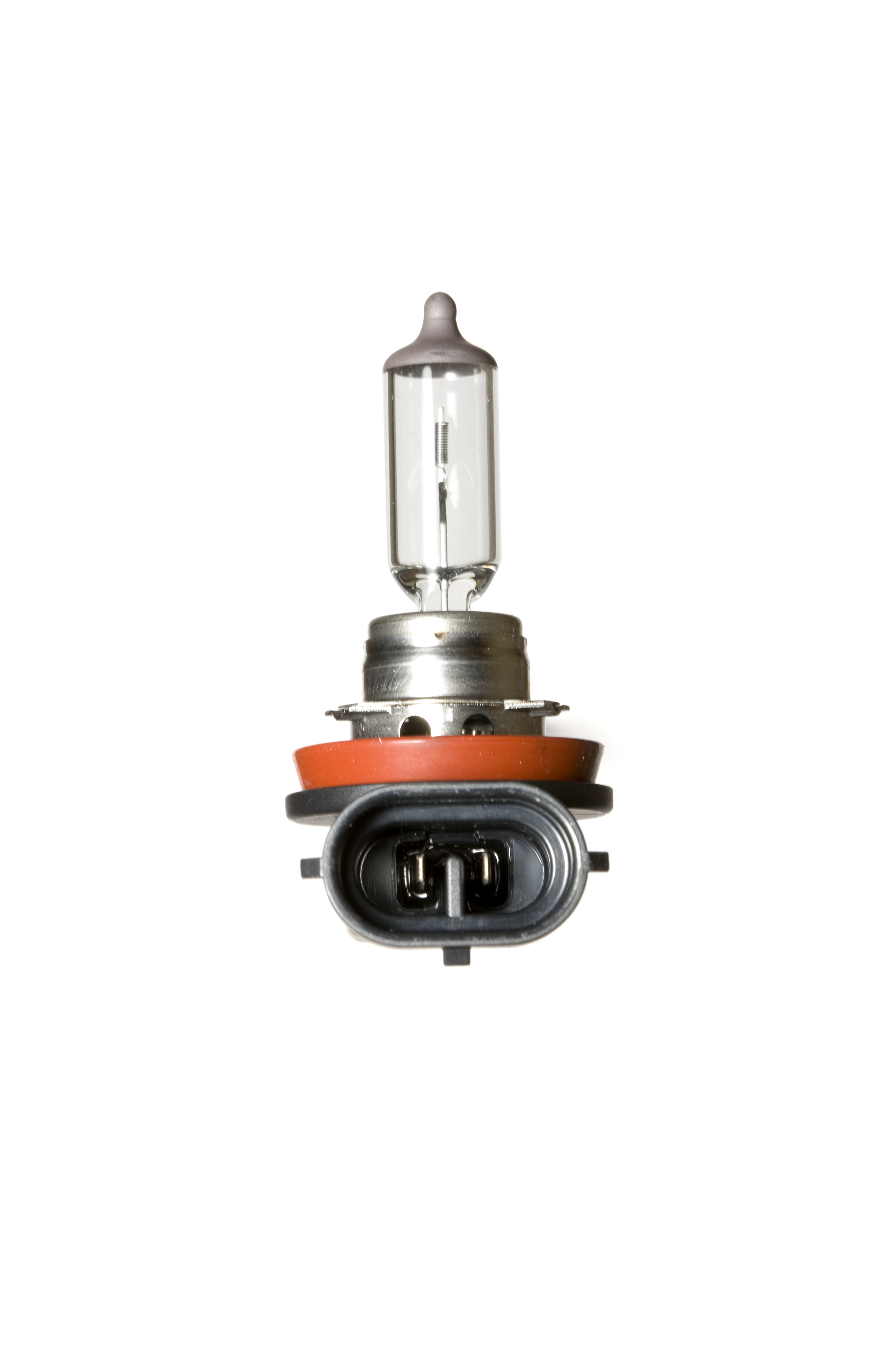 Lampadina H11 - 12V 55W Pgj19-2