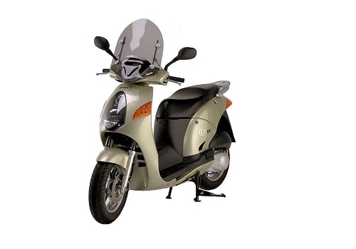 Parabrezza Honda Nes 125-150 Basso Senza Bordo