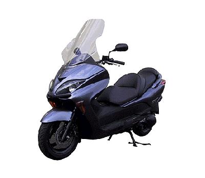 Parabrezza Honda Forza 250 Modello Esclusivo