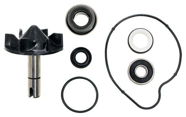 Kit Pompa acqua Tmax 530 2012-2016