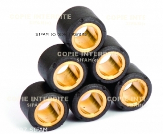 Masse Variatore x8 Ø28x20-26g