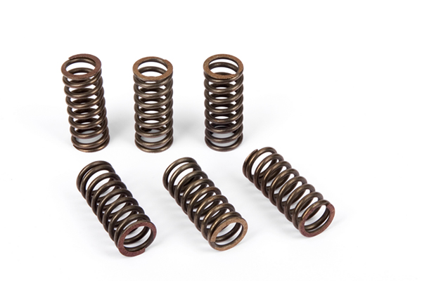 Kit Molle Frizione (5pz) Kawasaki
