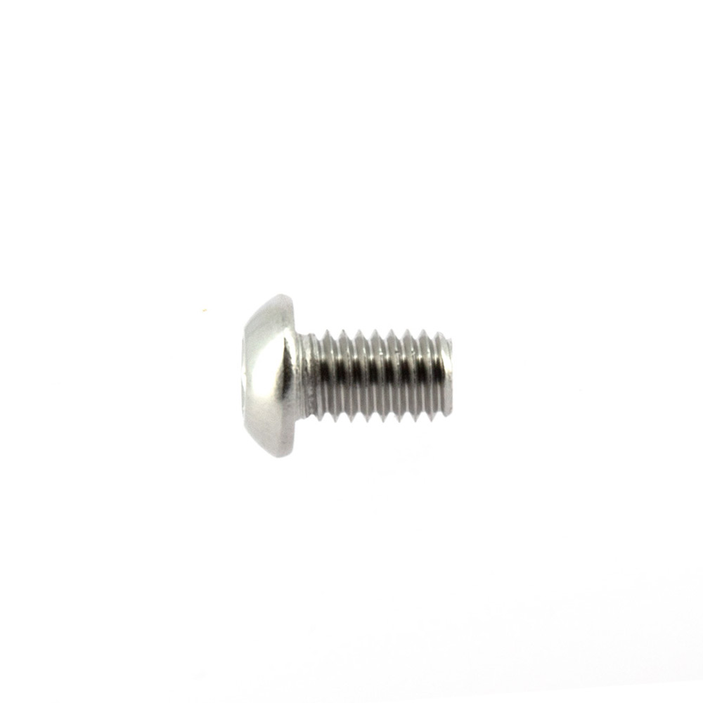 Vite m6*10 mm - argento - 10 pezzi
